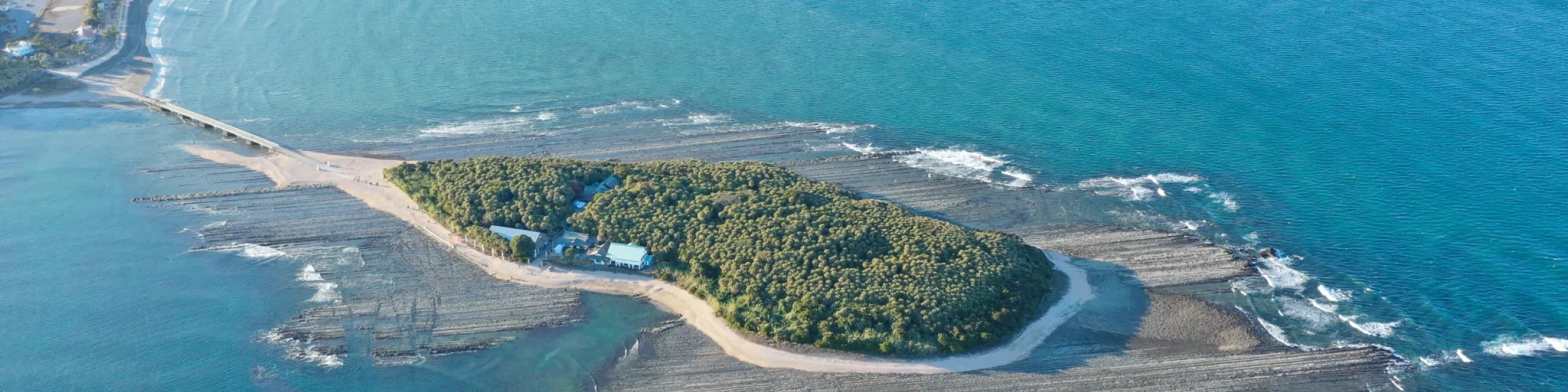 メインビジュアル画像